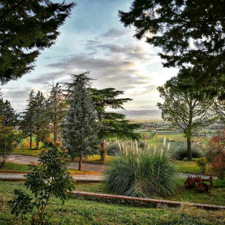 Casa Per Ferie Ulivo D'Assisi Villa Eksteriør bilde