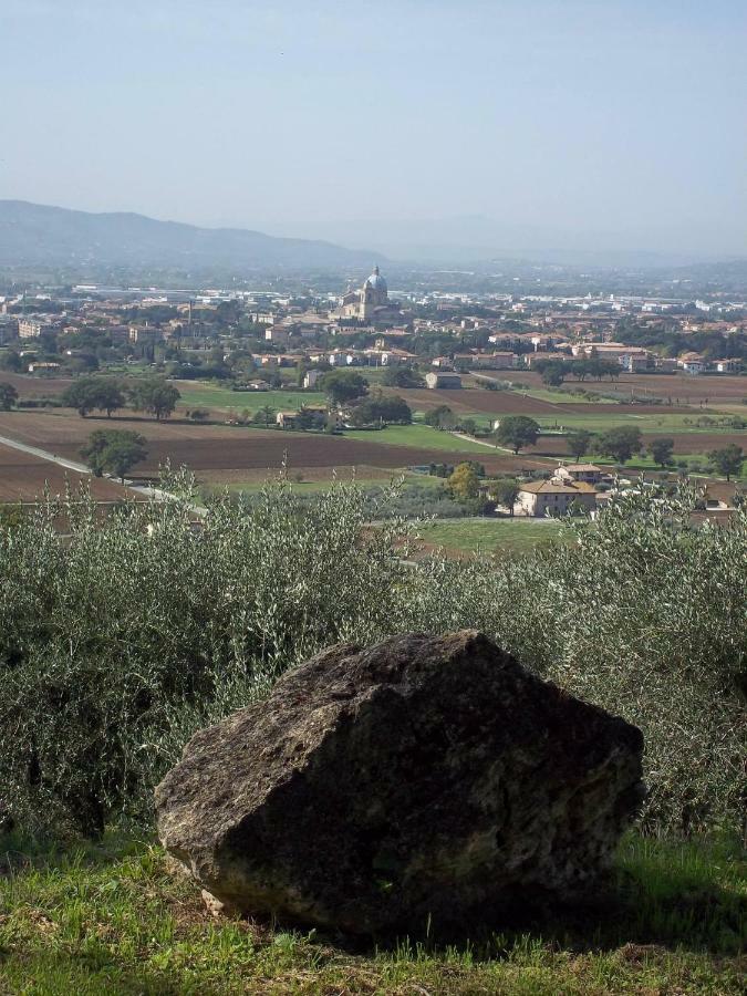 Casa Per Ferie Ulivo D'Assisi Villa Eksteriør bilde