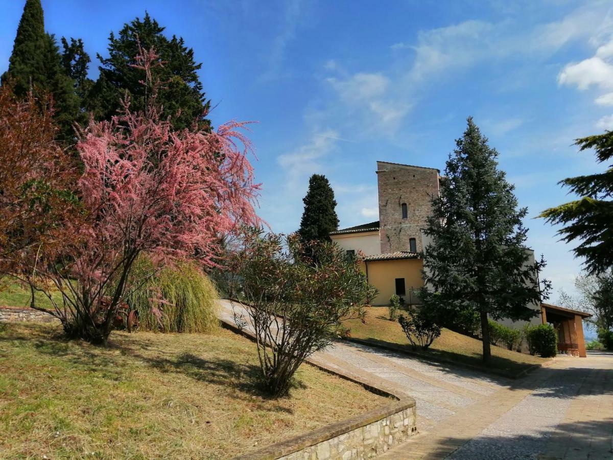 Casa Per Ferie Ulivo D'Assisi Villa Eksteriør bilde